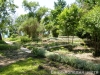 Ботаническа градина - Балчик Garden_Balchik036.jpg