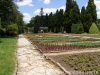 Last additions - Ботаническа градина - Балчик Garden_Balchik091.jpg