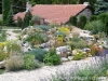 Last additions - Ботаническа градина - Балчик Garden_Balchik135.jpg