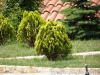 Most viewed - Ботаническа градина - Балчик Garden_Balchik140.jpg