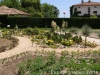 Last additions - Ботаническа градина - Балчик Garden_Balchik146.jpg