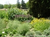 Most viewed - Ботаническа градина - Балчик Garden_Balchik154.jpg