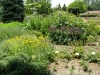 Last additions - Ботаническа градина - Балчик Garden_Balchik155.jpg
