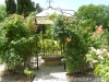 Last additions - Ботаническа градина - Балчик Garden_Balchik162.jpg