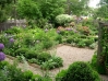 Top rated - СНИМКИ ОТ САЙТА CVETQ.INFO Home_gardens10.jpg