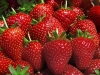 Last additions - Ягоди - Rosaceae strawberry.jpg