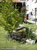 Most viewed - Градините на Сарафово 5~0.jpg