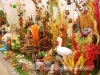 Last additions - zamakat's Gallery - zamakat flora-burgas-2010-gradina-zamakat_(34).JPG